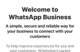 Line和WhatsApp日常沟通场景对比与选择建议