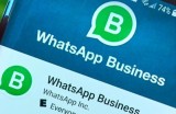WhatsApp商业助力中小企业构建高效客户沟通与增长闭环