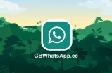 whatsapp申诉邮箱使用指南与账号封禁申诉注意事项