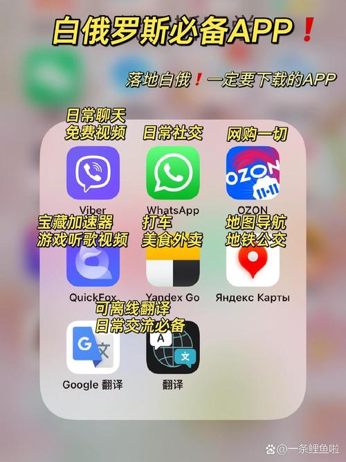 新手必看的whatsapp注册完整流程与账号安全注意事项 新手必看的whatsapp注册完整流程与账号安全注意事项