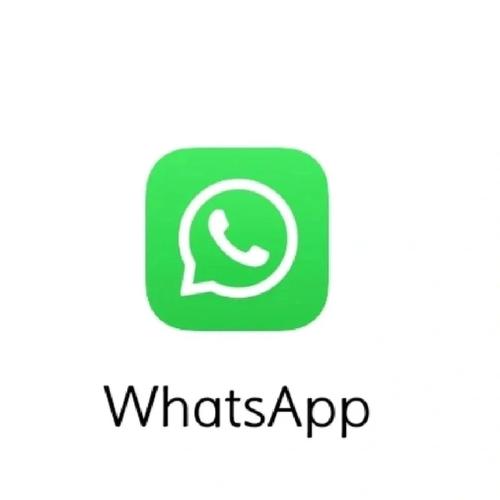 whatsapp手机安装前的准备步骤与完整操作指南 whatsapp手机安装前的准备步骤与完整操作指南